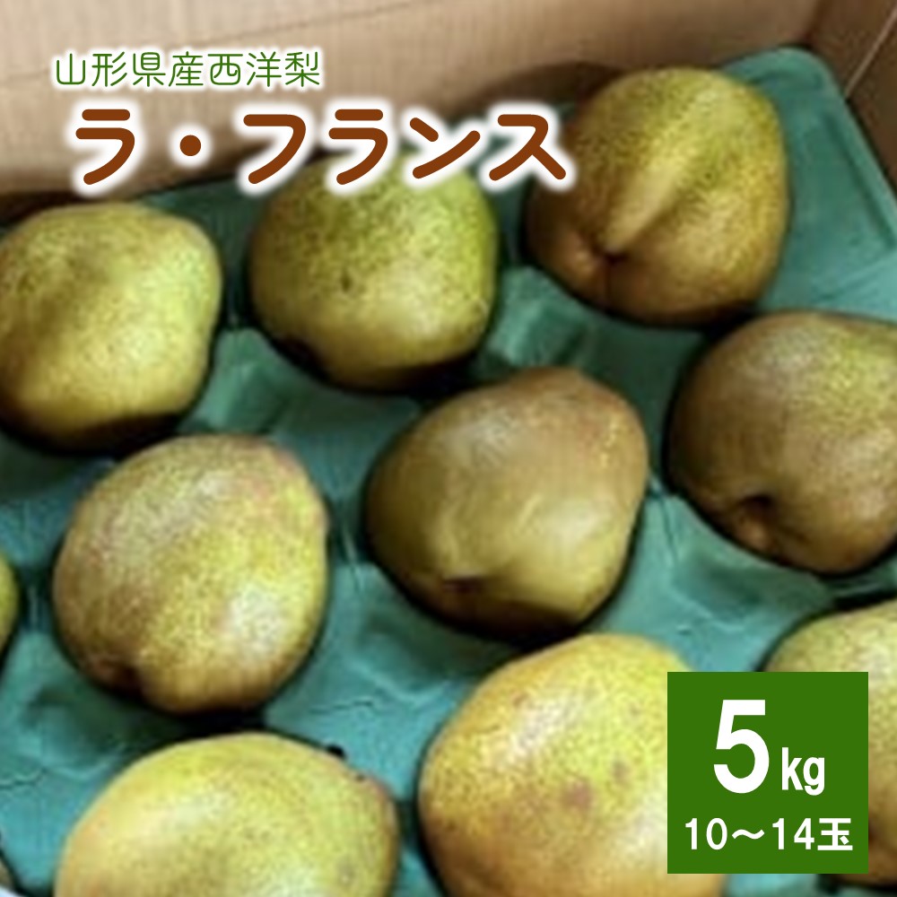 【ふるさと納税】西洋梨 ラ・フランス 5kg 10~14玉 6L～4L サイズ 秀品 果物 フルーツ 産地直送 山形 お取り寄せ 送料無料 山形県 上山市 0079-2517