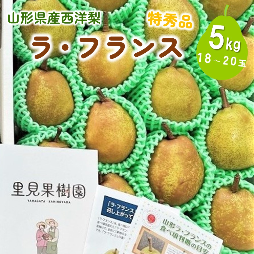 【ふるさと納税】西洋梨 ラ・フランス 5kg 18~20玉 特秀品 果物 フルーツ 産地直送 山形 お取り寄せ 送料無料 山形県 上山市 0079-2518
