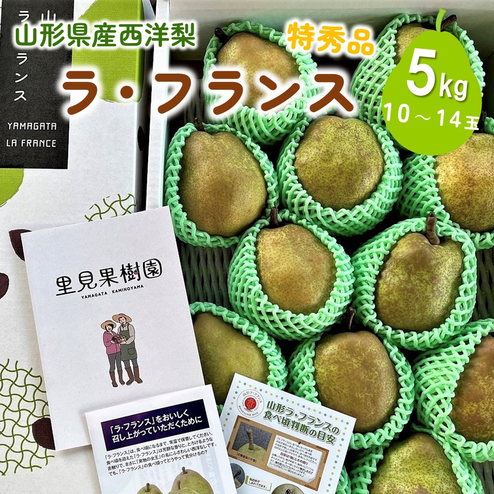 【ふるさと納税】西洋梨 ラ・フランス 5kg 10~14玉 特秀品 果物 フルーツ 産地直送 山形 お取り寄せ 送料無料 山形県 上山市 0079-2520