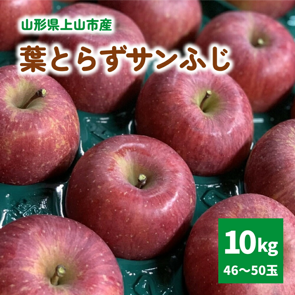 【ふるさと納税】有機肥料栽培 葉とらず サンふじ 上山市産 10kg 46～50玉 りんご 果物 フルーツ 産地直送 山形 お取り寄せ 送料無料 山形県 上山市 0079-2525