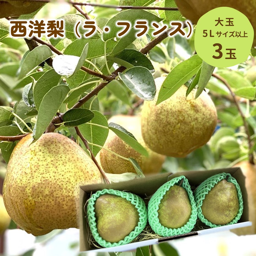 【ふるさと納税】西洋梨 （ラ・フランス）大玉 3玉 秀品 フルーツ 果物 ラフランス 山形 お取り寄せ 贈り物 プレゼント ギフト 産地直送 送料無料 山形県 上山市 0079-2514
