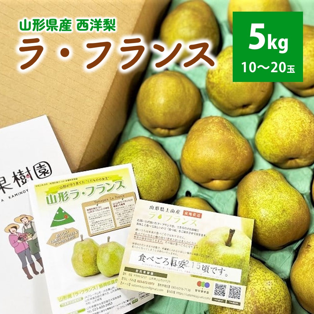 【ふるさと納税】西洋梨（ラ・フランス）5kg 10～20玉 ご家庭用 フルーツ 山形県 上山市 0079-2515