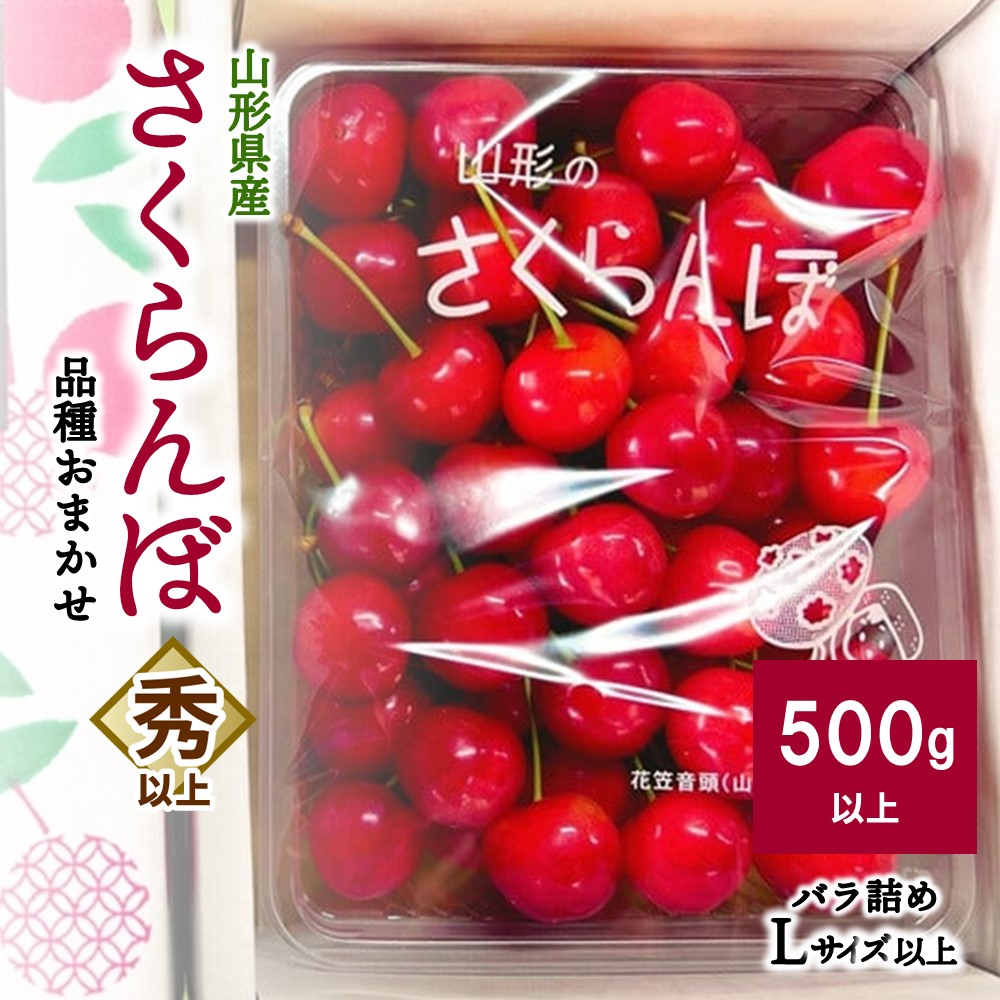 【ふるさと納税】  さくらんぼ ( 品種おまかせ ) 500g以上 秀品以上 山形県 上山市 0079-2505