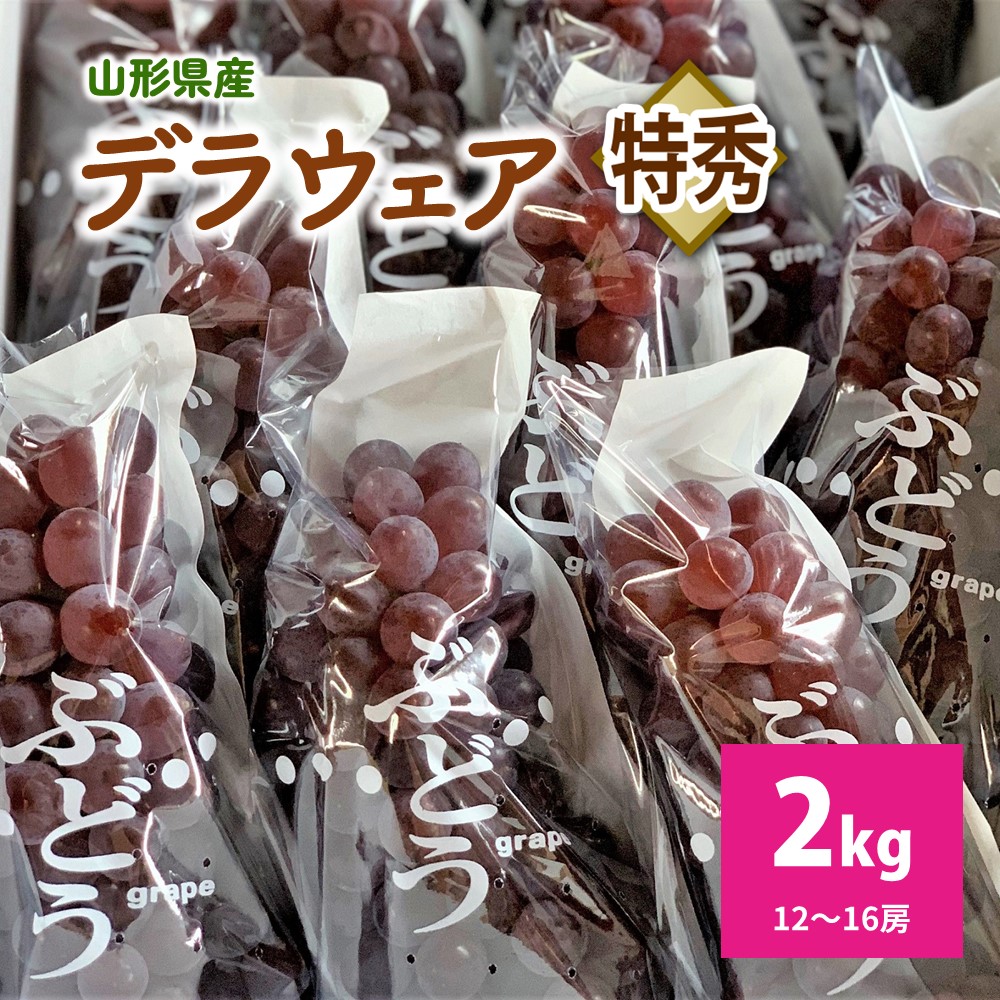 【ふるさと納税】ぶどう デラウェア 特秀品 12～16房 2kg 箱 満杯詰め 糖度18度以上 フルーツ 山形県 上山市 0079-2508