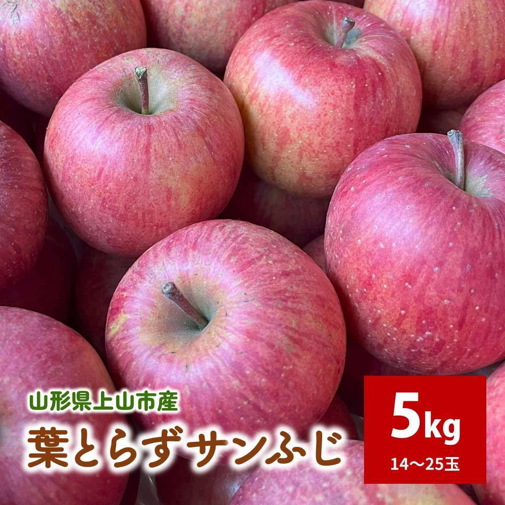 【ふるさと納税】有機肥料栽培 葉とらずサンふじ 上山市産 5kg 14～25玉 ご家庭用 りんご フルーツ 林檎 山形県 上山市 0079-2522