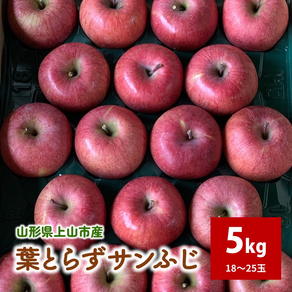 【ふるさと納税】有機肥料栽培 葉とらずサンふじ 上山市産 5kg 18～25玉 秀品 りんご 山形県 上山市 0079-2523