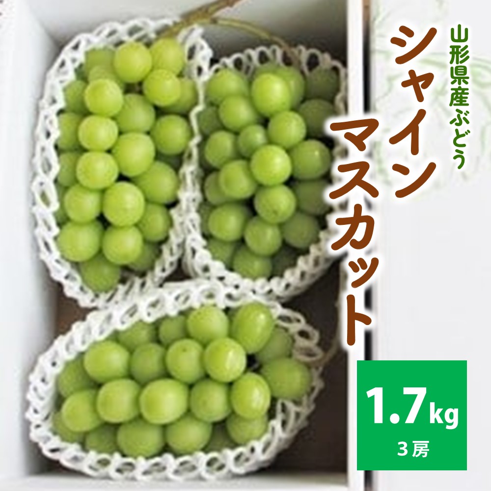 【ふるさと納税】ぶどう（シャインマスカット） 1.7kg以上 3房 葡萄 フルーツ 果物 東北 山形県 上山市 0085-2503