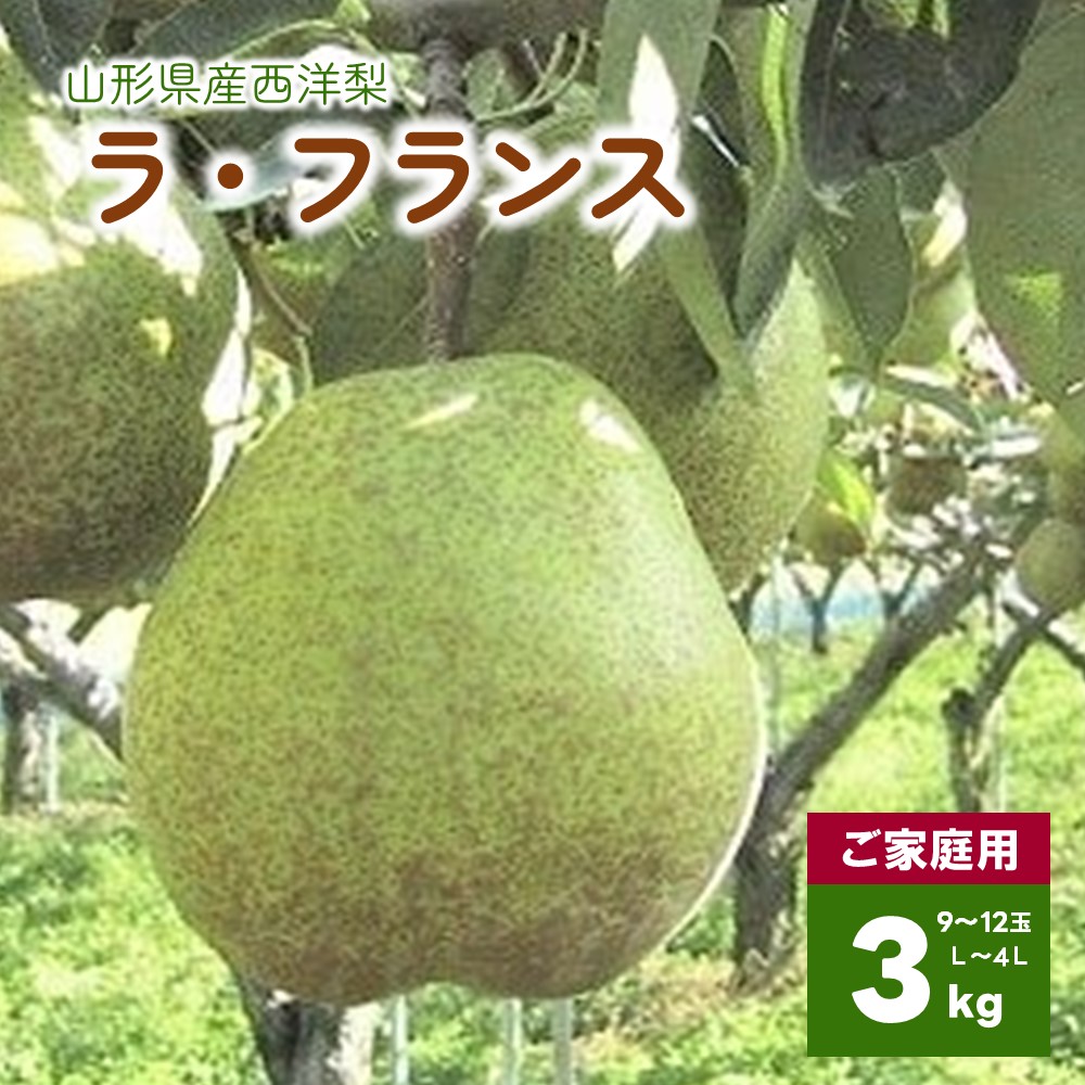 【ふるさと納税】 西洋梨 （ ラ・フランス ）3kg ご家庭用 L～4L サイズ 12～9玉 不揃い 果物 フルーツ 洋梨 お取り寄せ 産地直送 送料無料 山形県 上山市 0089-2501