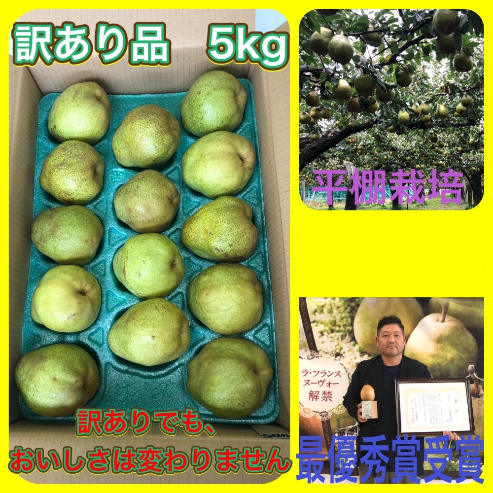 【ふるさと納税】ラ・フランス 5kg ご家庭用 20玉～10玉 L～6L サイズ 訳あり 不揃い 傷 フルーツ 果物 洋梨 山形県 上山市 0102-2505