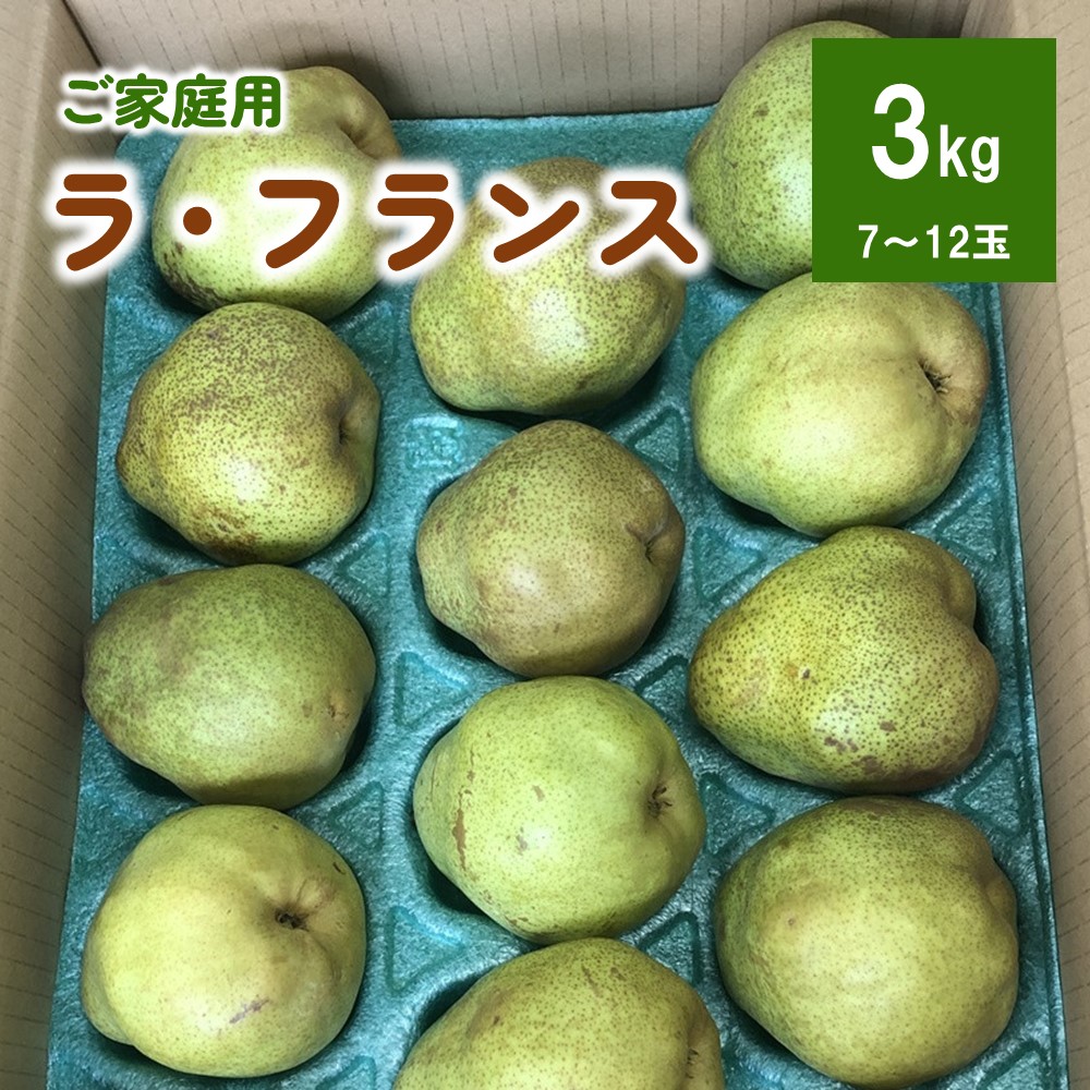 【ふるさと納税】西洋梨 (ラ・フランス) 3kg ご家庭用 フルーツ 果物 お取り寄せ 送料無料 山形県 上山市 0102-2503