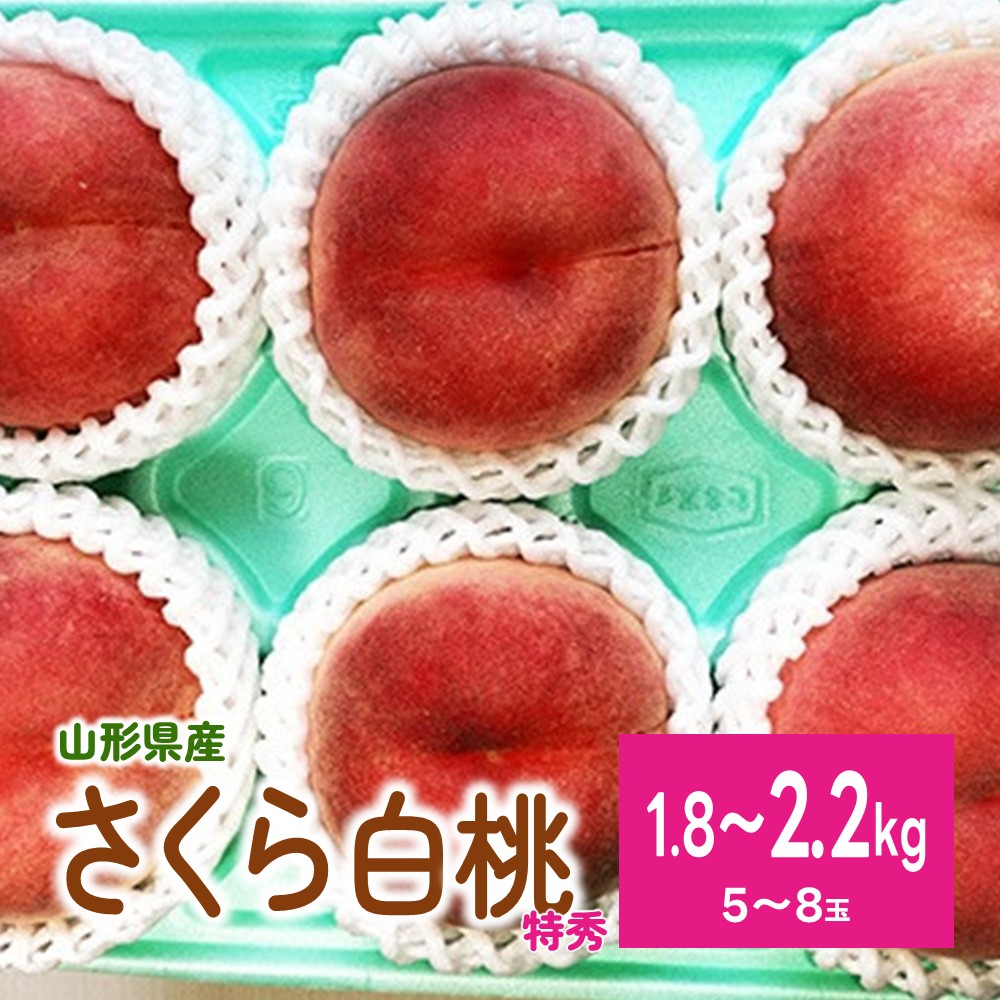 【ふるさと納税】太陽の恵【 特秀 品 】さくら 白桃【2kg箱に1.8kg～2.2kg詰め】桃 フルーツ 山形県 上山市 0106-2604｜山形県上山市 10,650円