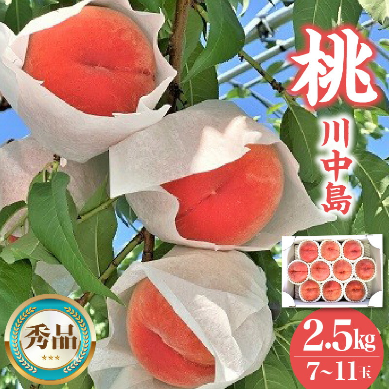 【ふるさと納税】桃 ( 川中島 ) 2.5kg 山形県 上山市 0120-2601|山形県上山市