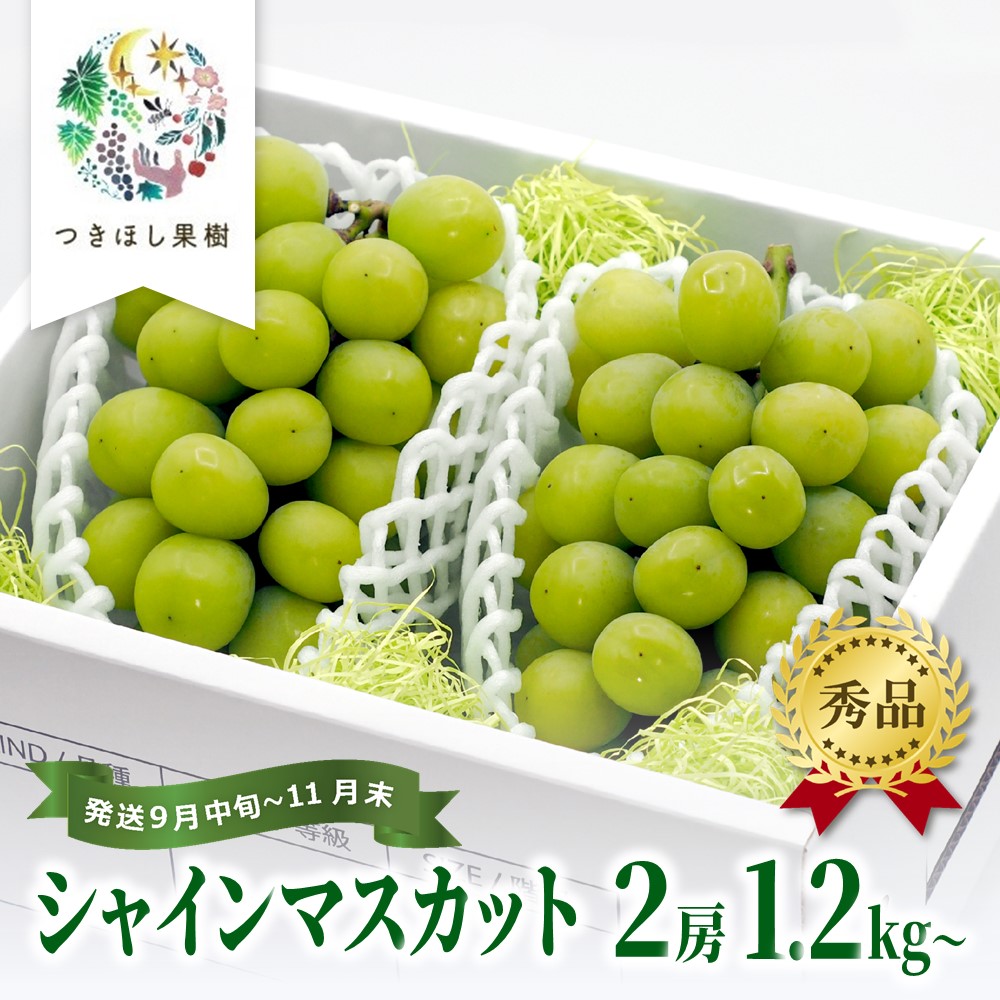 【ふるさと納税】【産地直送】 上山産 ・ 絶品 シャインマスカット 1.2kg以上♪ 秀品 果物 フルーツ ぶどう お取り寄せ 山形 産地直送 送料無料 山形県 上山市 0140-2505