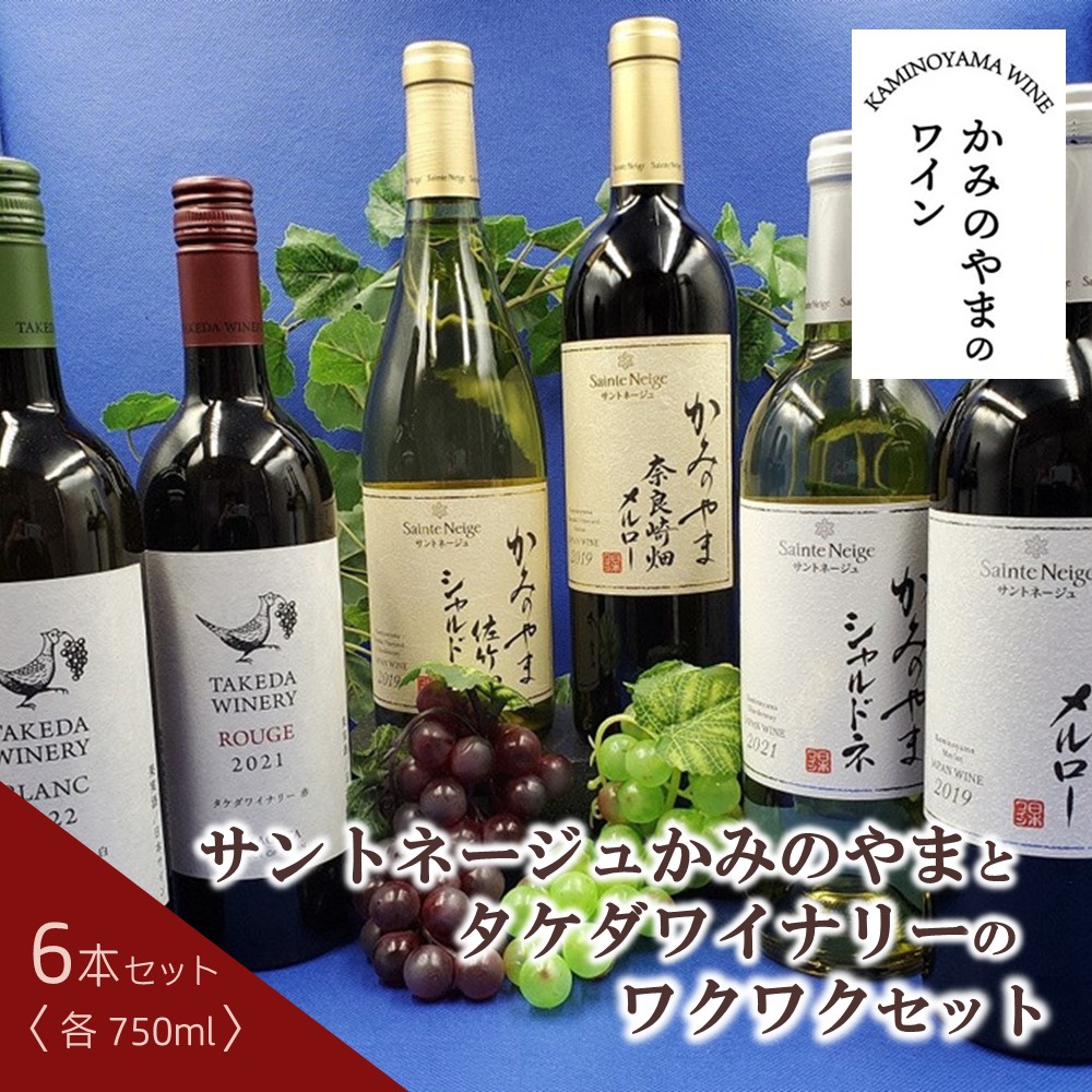 【ふるさと納税】サントネージュかみのやま と タケダワイナリー の ワクワク セット （ 750ml &times; 6本 ） ワイン 赤ワイン 白ワイン 日本ワイン お取り寄せ 産地直送 送料無料 山形県 上山市 0141-2613｜山形県上山市