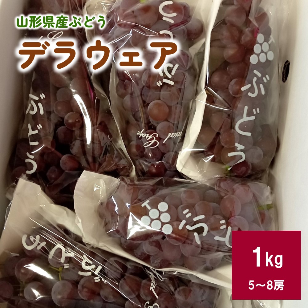 【ふるさと納税】 ぶどう ( デラウェア ) 1kg 秀品 5～8房 果物 フルーツ 産地直送 山形 お取り寄せ 送料無料 山形県 上山市 0142-2501