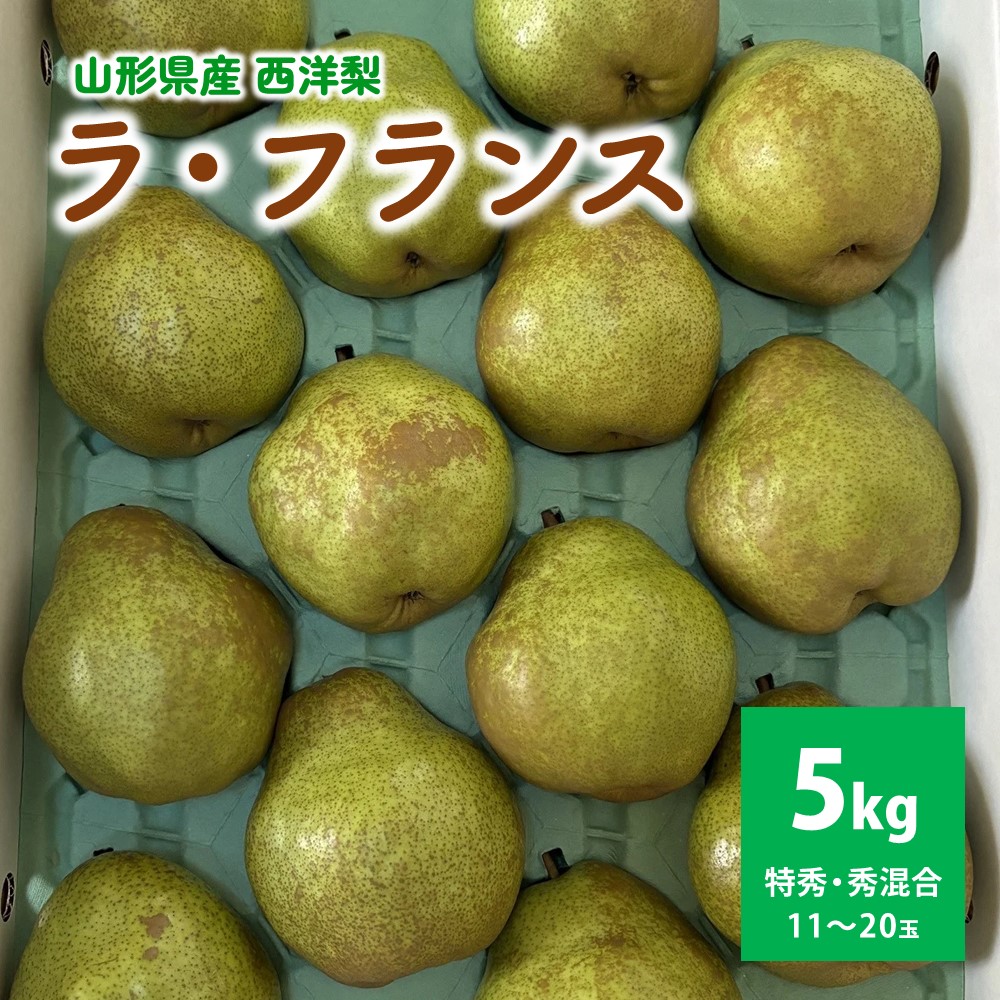 【ふるさと納税】西洋梨 （ラ・フランス） 5kg 贈答用 サイズ混合 秀品・特秀品混合 果物 フルーツ 産地直送 山形 洋なし お取り寄せ 送料無料 山形県 上山市 0142-2512
