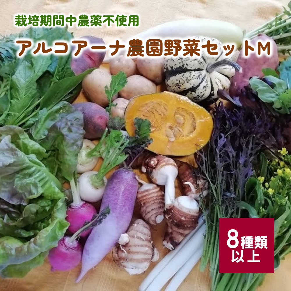 【ふるさと納税】【2025年7月～発送】アルコアーナ農園 野菜 セット （栽培期間中農薬不使用） Mサイズ 山形県 上山市 0148-2507