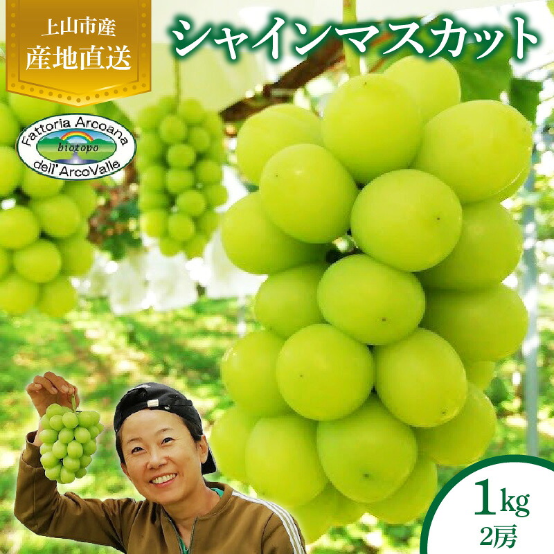 【ふるさと納税】【樹上完熟】 シャインマスカット 1kg （もぎたて直送） フルーツ 果物 ぶどう 山形 産地直送 お取り寄せ 送料無料 山形県 上山市 0148-2614｜山形県上山市