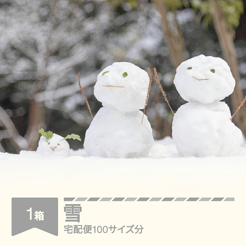 【ふるさと納税】天然の雪 100サイズ分 催物 山形県村山市 rk-snxxx100｜山形県村山市