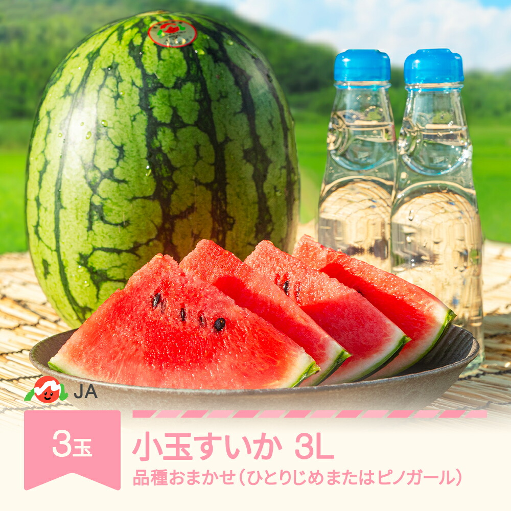 【ふるさと納税】先行予約 小玉 すいか スイカ 3L×3玉 令和7年産 2025年産 品種おまかせ ひとりじめ または ピノガール  果物 送料無料 ja-sukox