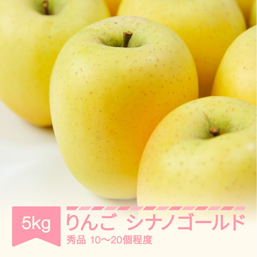【ふるさと納税】【先行予約】 シナノゴールド 秀品 約5kg りんご 令和8年産 2026年産 果物 送料無料 ※沖縄・離島への配送不可 sb-risgx5 10,140円