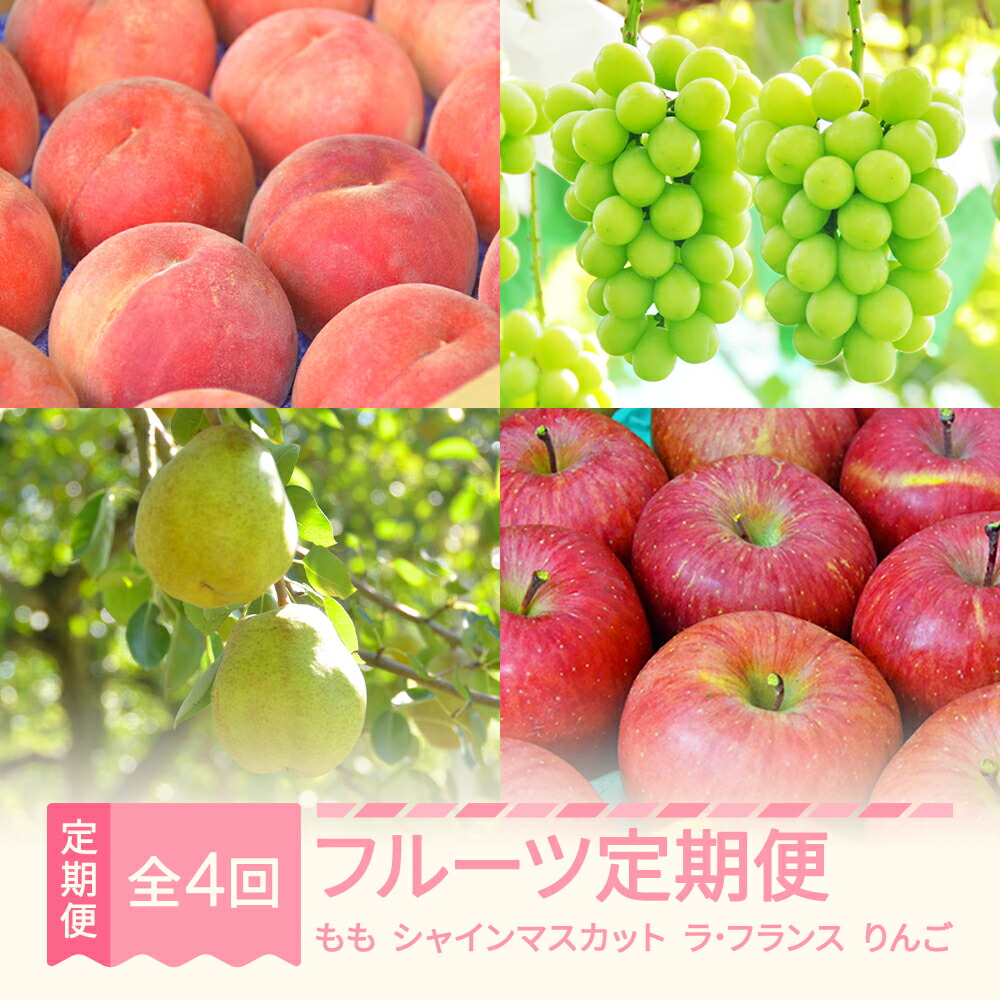 【ふるさと納税】【先行予約】フルーツ定期便全4回 川中島 シャインマスカット ラ・フランス サンふじ 2026年産 山形県産 ja-ft4xx|山形県村山市