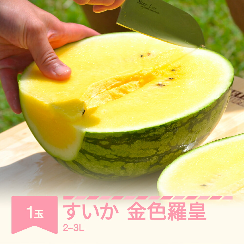 【ふるさと納税】先行予約 すいか 大玉 金色羅皇 2L~3L 1玉 令和8年産 山形県村山市産 ※沖縄・離島への配送不可 mk-sukrx21