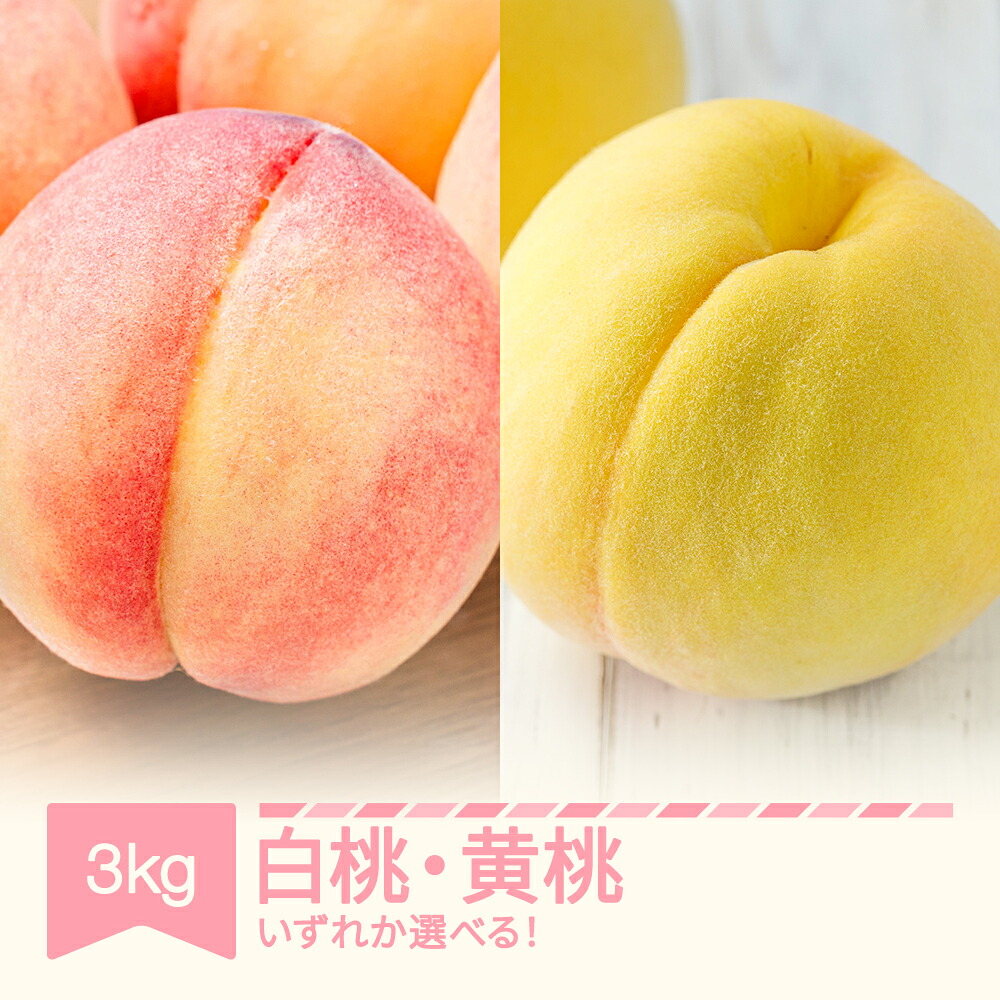 【ふるさと納税】 もも 約3kg 選べる 令和8年産 2026年産 山形産 果物 送料無料 ※沖縄・離島への配送不可 sp-moxxx｜山形県村山市