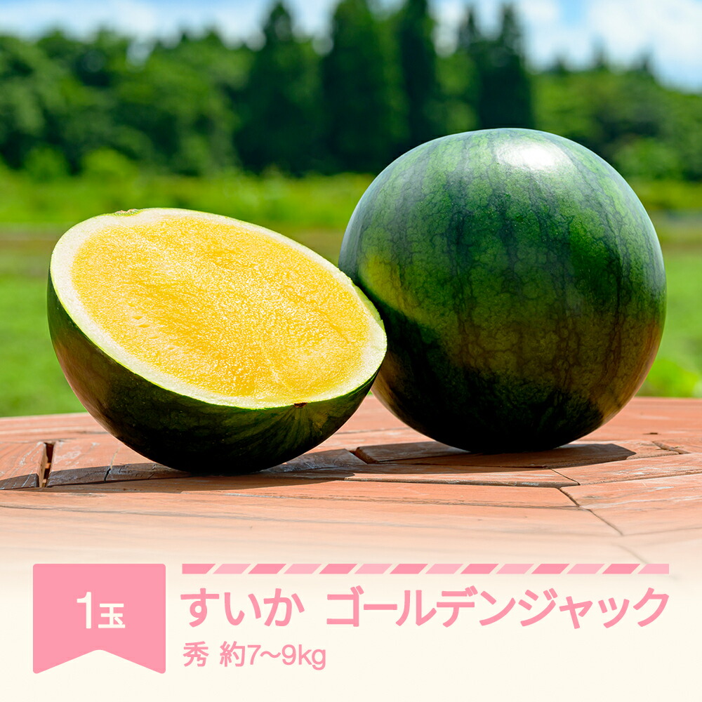 【ふるさと納税】【先行予約】 すいか ゴールデンジャック 1玉 7kg~9kg 2026年産 令和8年産 送料無料 ※沖縄・離島への配送不可 no-sugjc1|山形県村山市