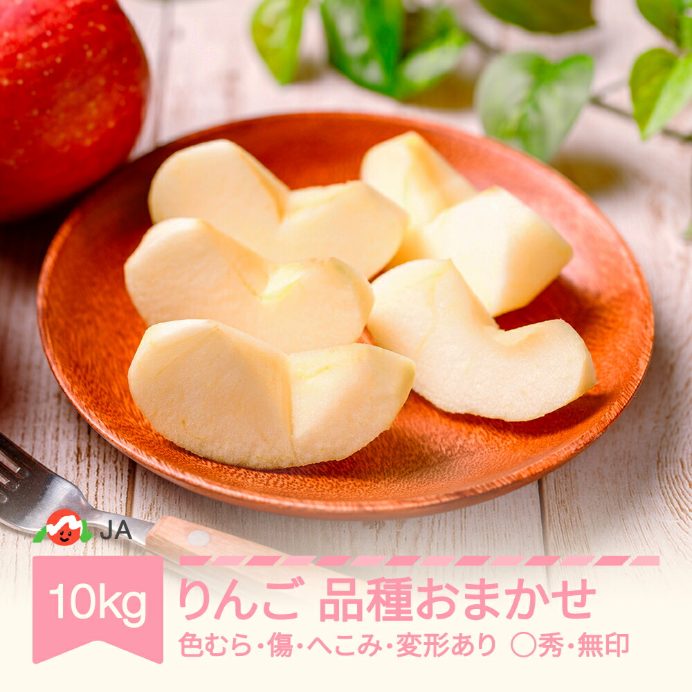 【ふるさと納税】先行予約 りんご 品種おまかせ 10kg 色むら 傷あり へこみ 変形 昂林 シナノスイート サンふじ ◯秀 無印 2025年産 令和7年産 送料無料 ja-ri3kx10 ※沖縄・離島への配送不可