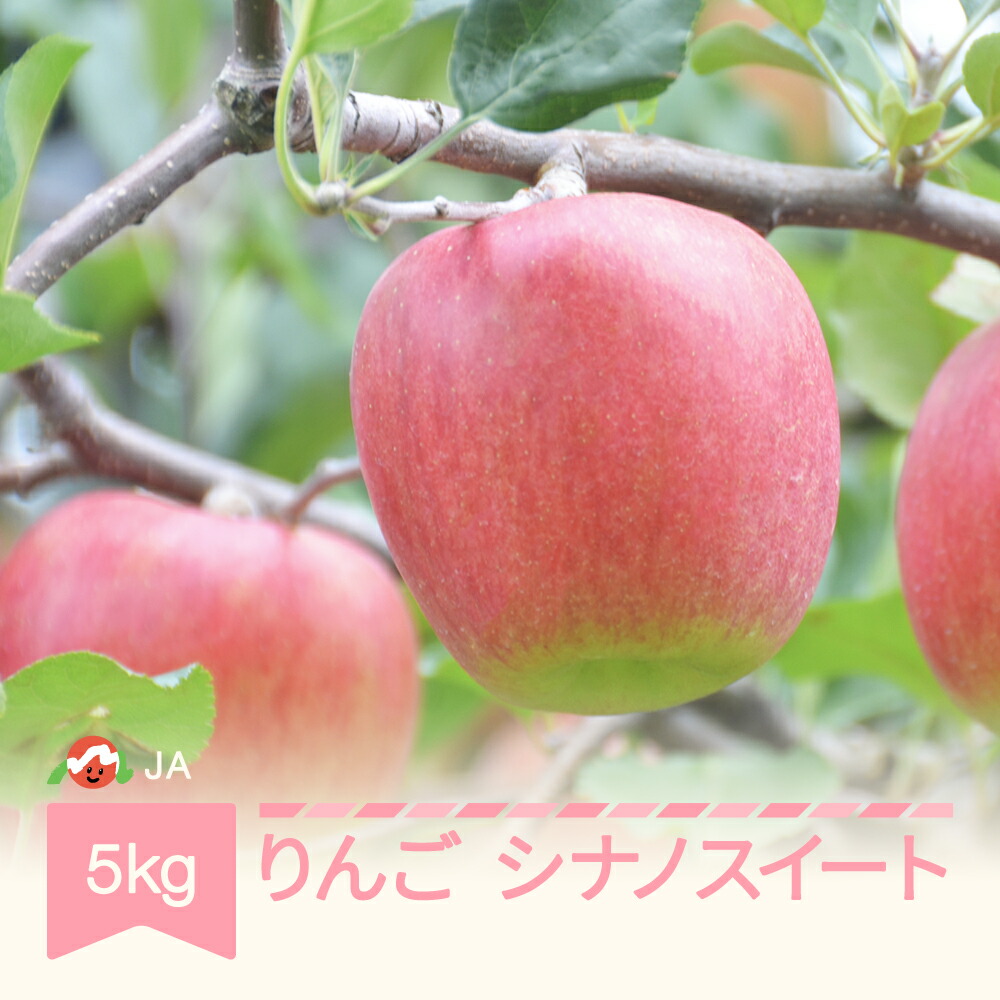 【ふるさと納税】先行予約 りんご シナノスイート  約5kg 秀 令和7年産 2025年産 果物 送料無料 ja-rissx5 ※沖縄・離島への配送不可