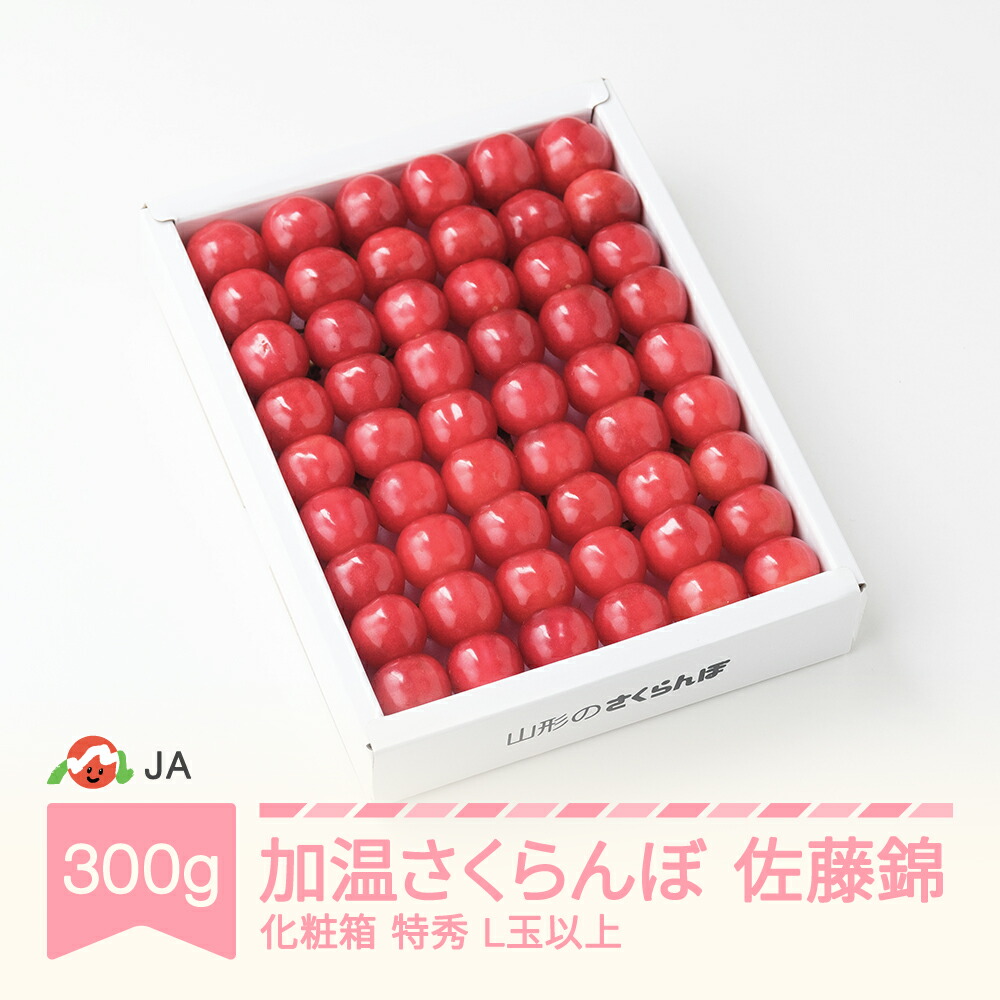 【ふるさと納税】【先行予約】 加温ハウス さくらんぼ 佐藤錦 2026年産 令和8年産 300g 化粧箱 特秀L玉以上 早出し 送料無料 サクランボ
