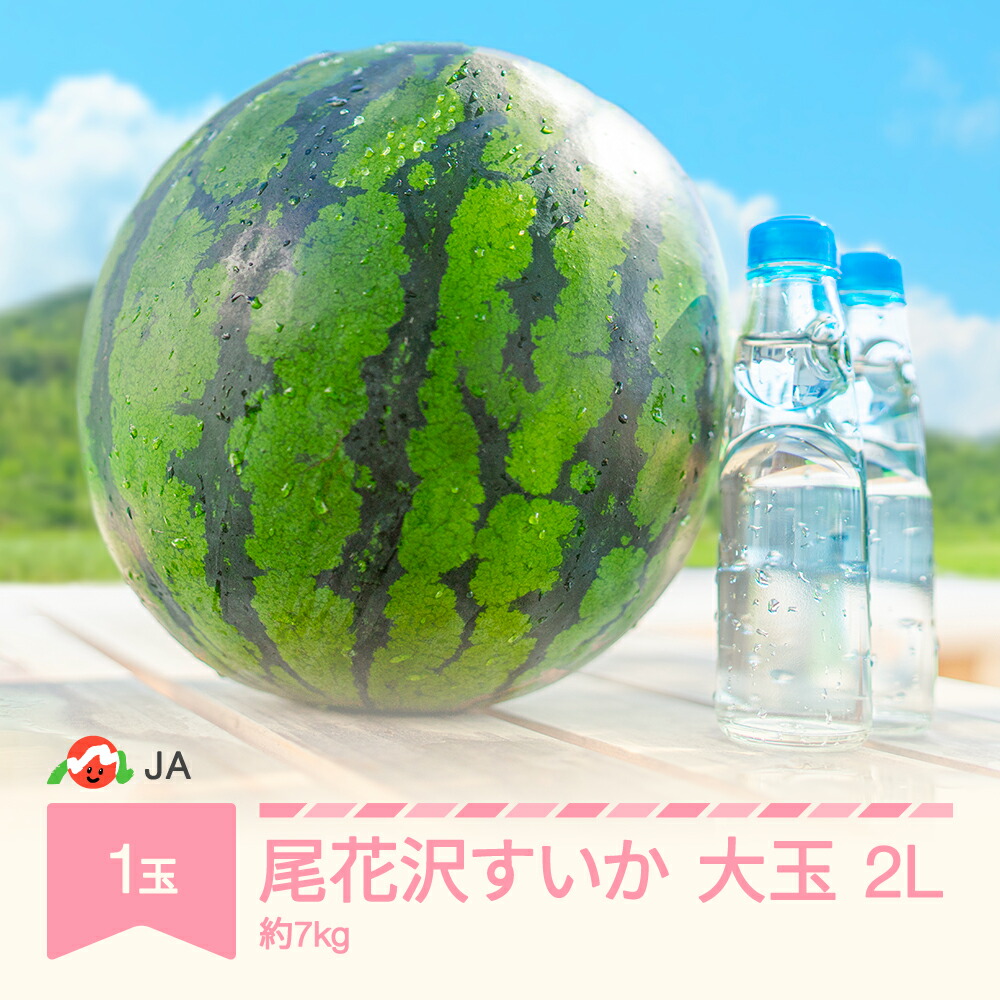 【ふるさと納税】先行予約 大玉 すいか スイカ 2L×1玉入り 令和7年産 2025年産 尾花沢すいか 果物 送料無料