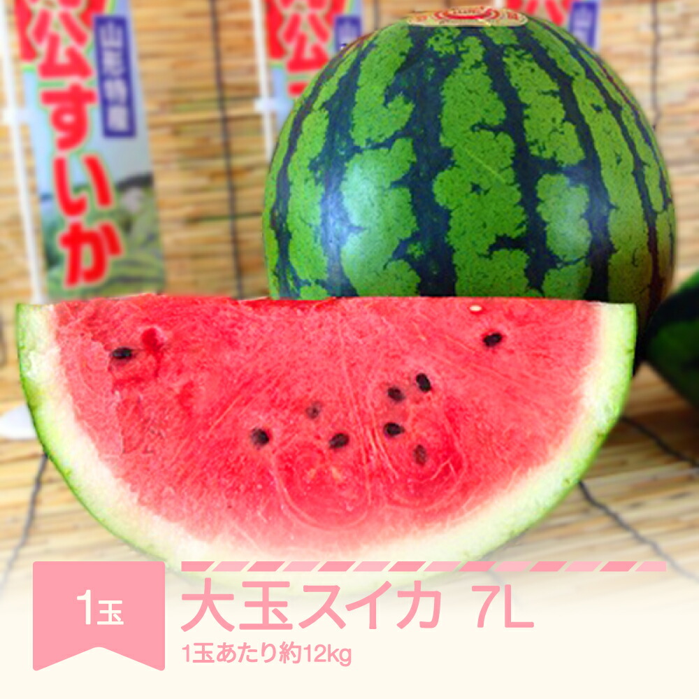 【ふるさと納税】先行予約 すいか 大玉 7L×1玉入り 令和8年産 山形県村山市産 送料無料 ※沖縄・離島への配送不可 mk-suoox12