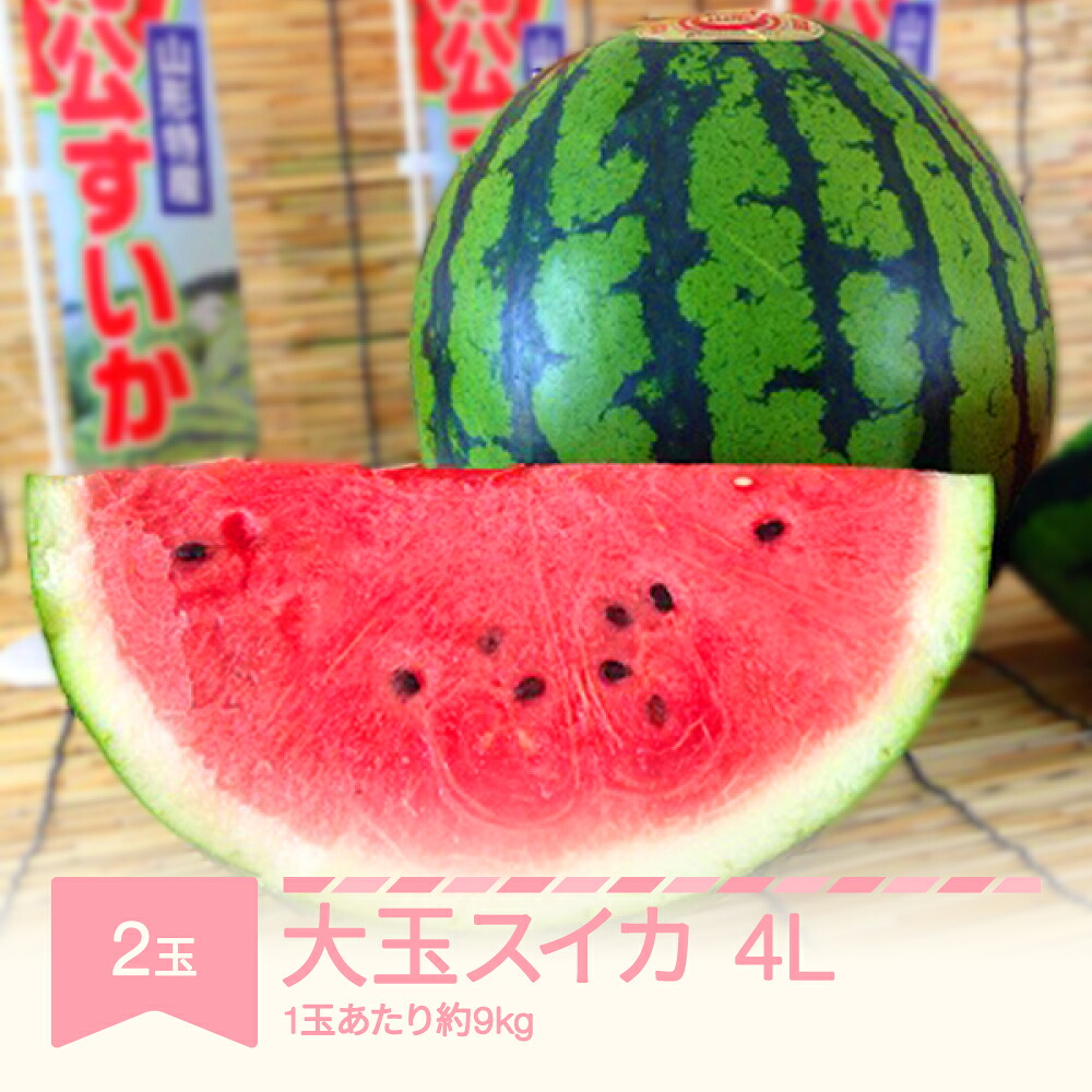 【ふるさと納税】先行予約 すいか 大玉 4L&times;2玉入り 令和8年産 山形県村山市産 送料無料 ※沖縄・離島への配送不可 mk-suoox9｜山形県村山市