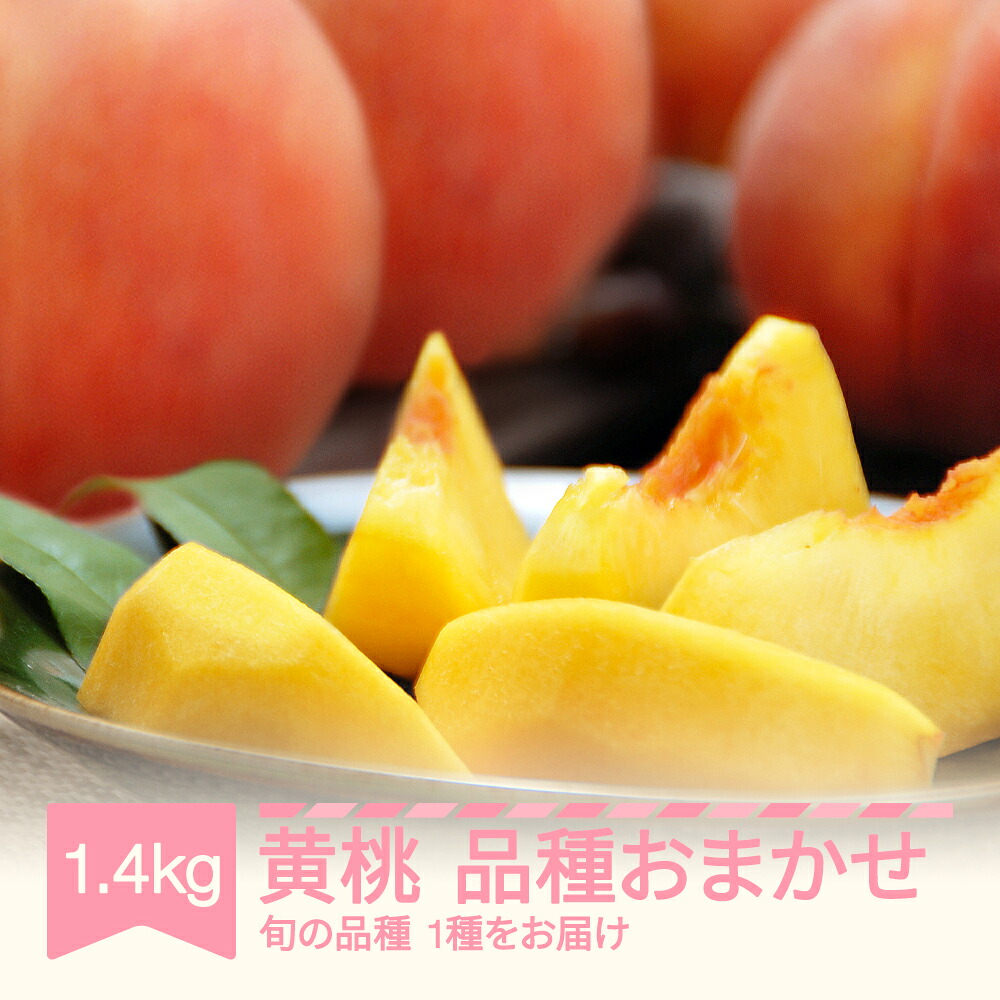 【ふるさと納税】【先行予約】黄桃 もも 桃 品種おまかせ 約1.4kg 2026年産 山形県産 令和8年産 送料無料 ※沖縄・離島への配送不可 mm-kmomx1400｜山形県村山市 9,360円