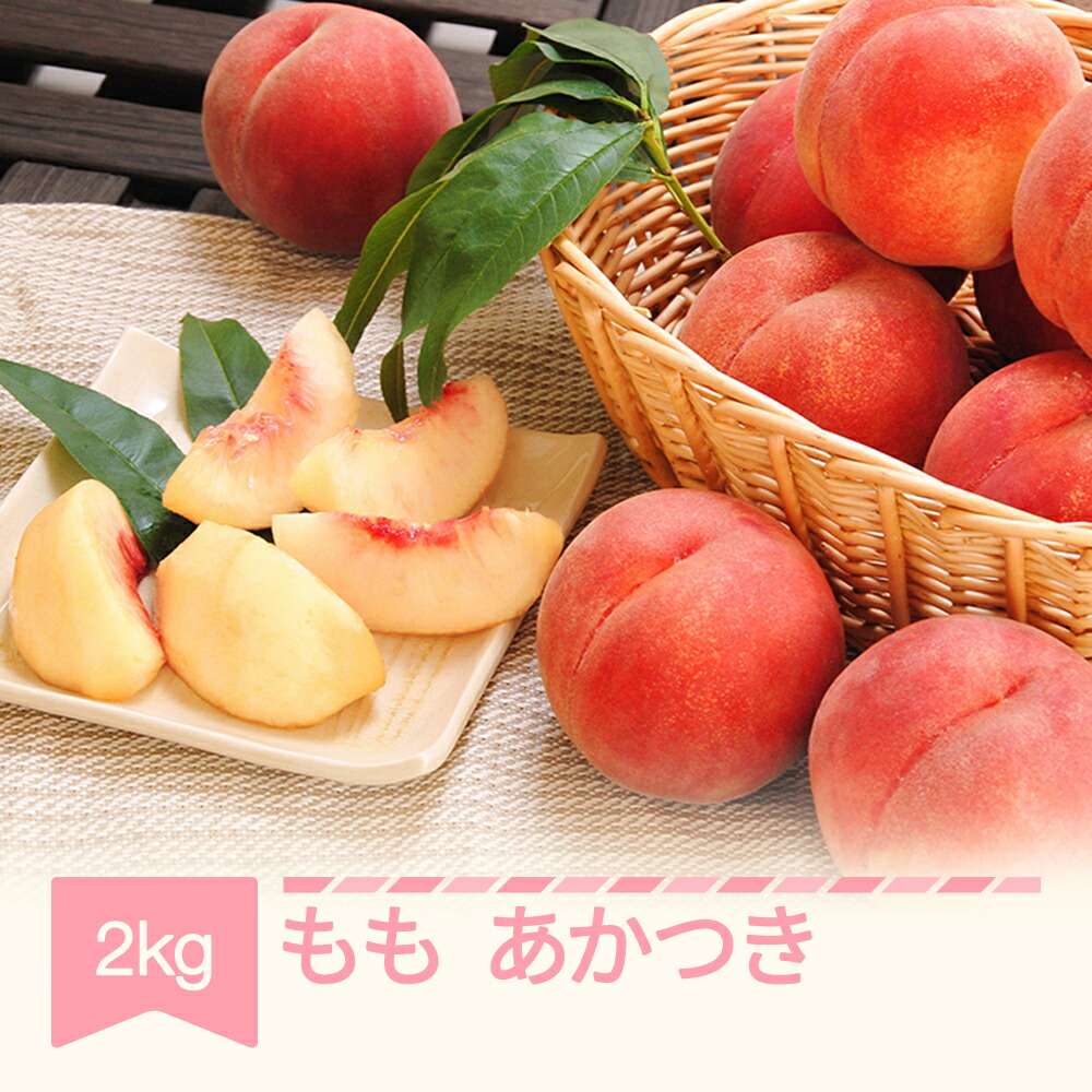 【ふるさと納税】先行予約 もも 桃 あかつき 約2kg 令和7年産 2025年産 山形県産 果物 送料無料<br>※沖縄・離島への配送不可