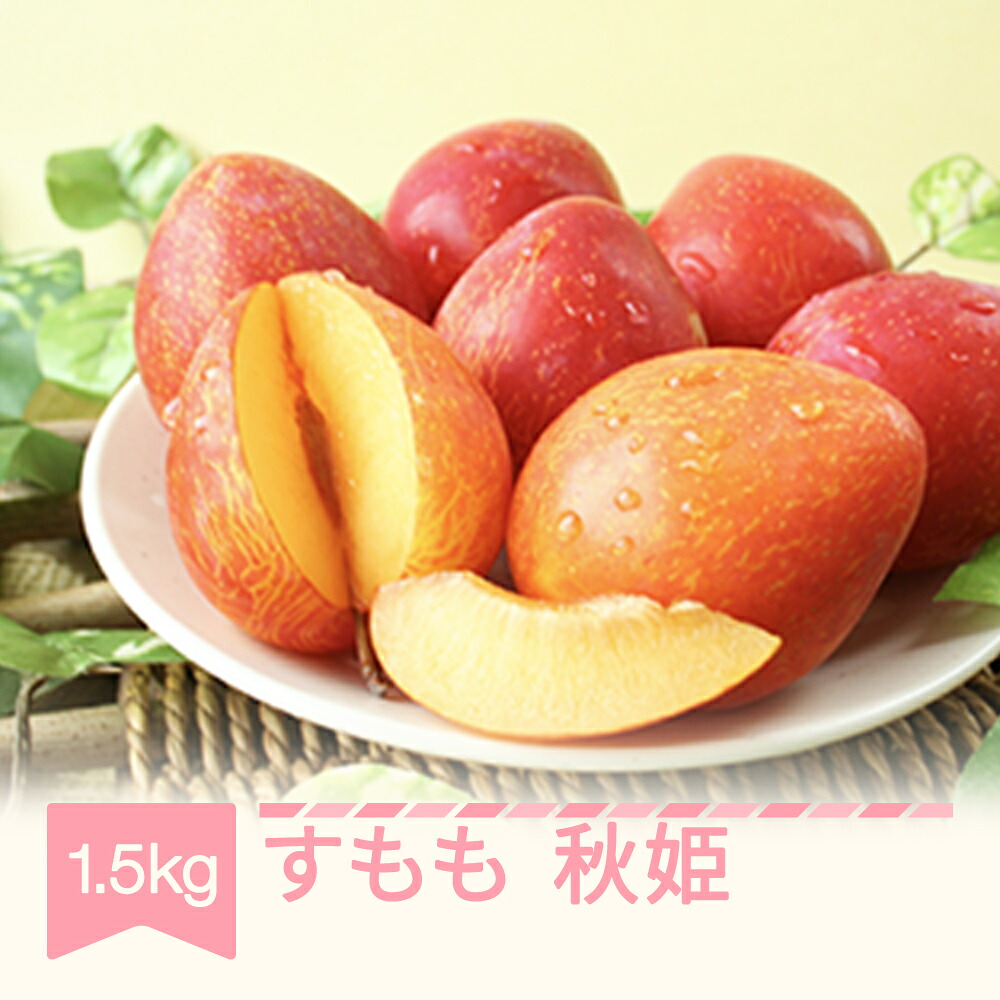 【ふるさと納税】先行予約 すもも スモモ 秋姫 1.5kg 2026年産 令和8年産 山形県産 送料無料 ※沖縄・離島への配送不可 mm-plahx1500｜山形県村山市