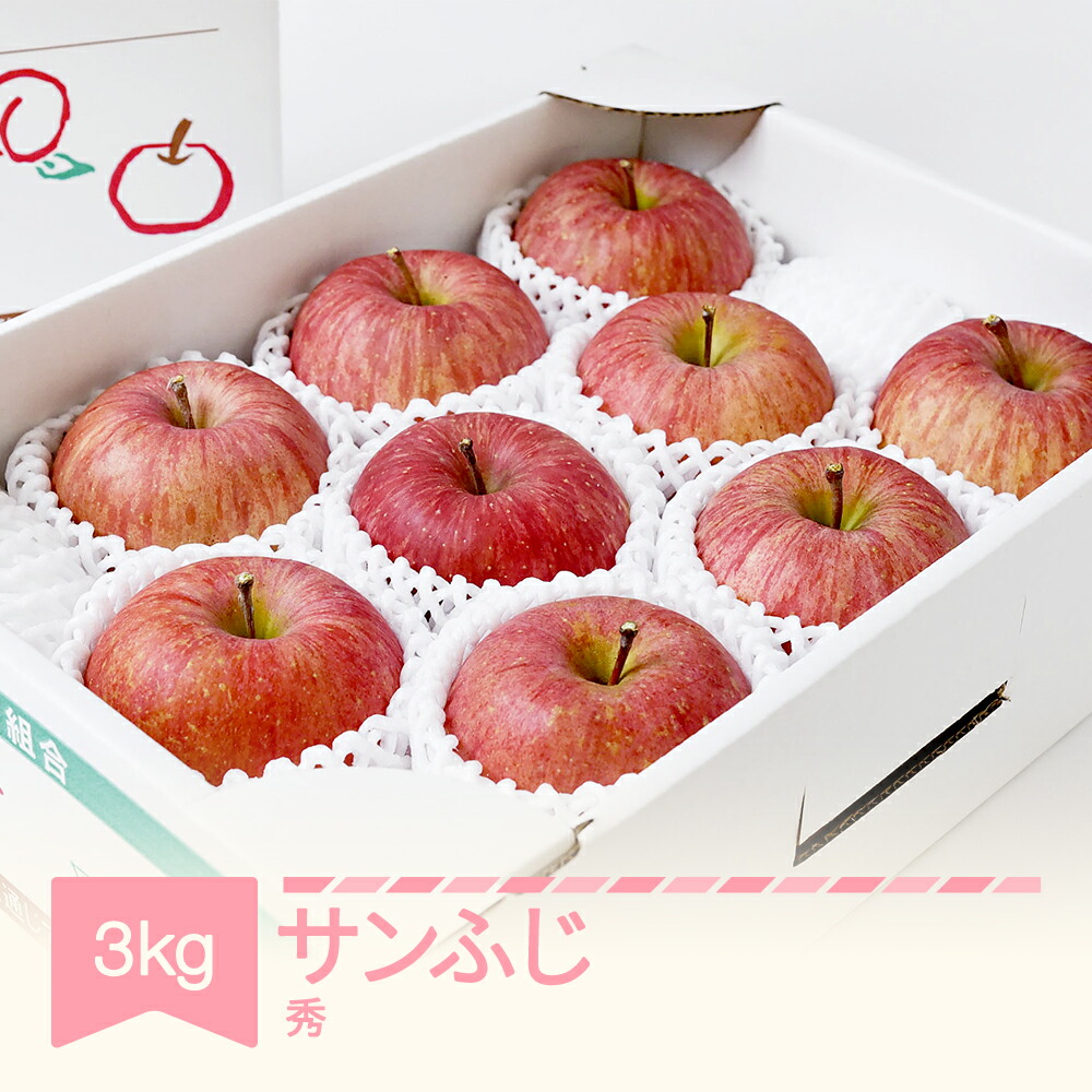 【ふるさと納税】先行予約 りんご サンふじ 約3kg 秀品 リンゴ 令和7年産 2025年産 果物 フルーツ 山形県産 送料無料 mm-risfs3<br>※沖縄・離島への配送不可