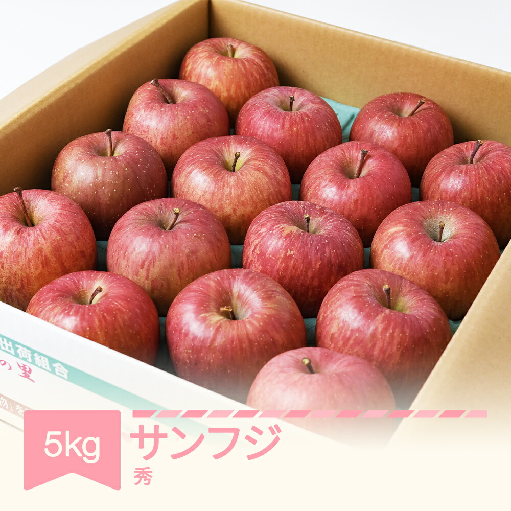 【ふるさと納税】先行予約 りんご サンふじ 約5kg 秀品 リンゴ 令和7年産 2025年産 果物 フルーツ 山形県産 送料無料 mm-risfs5<br>※沖縄・離島への配送不可