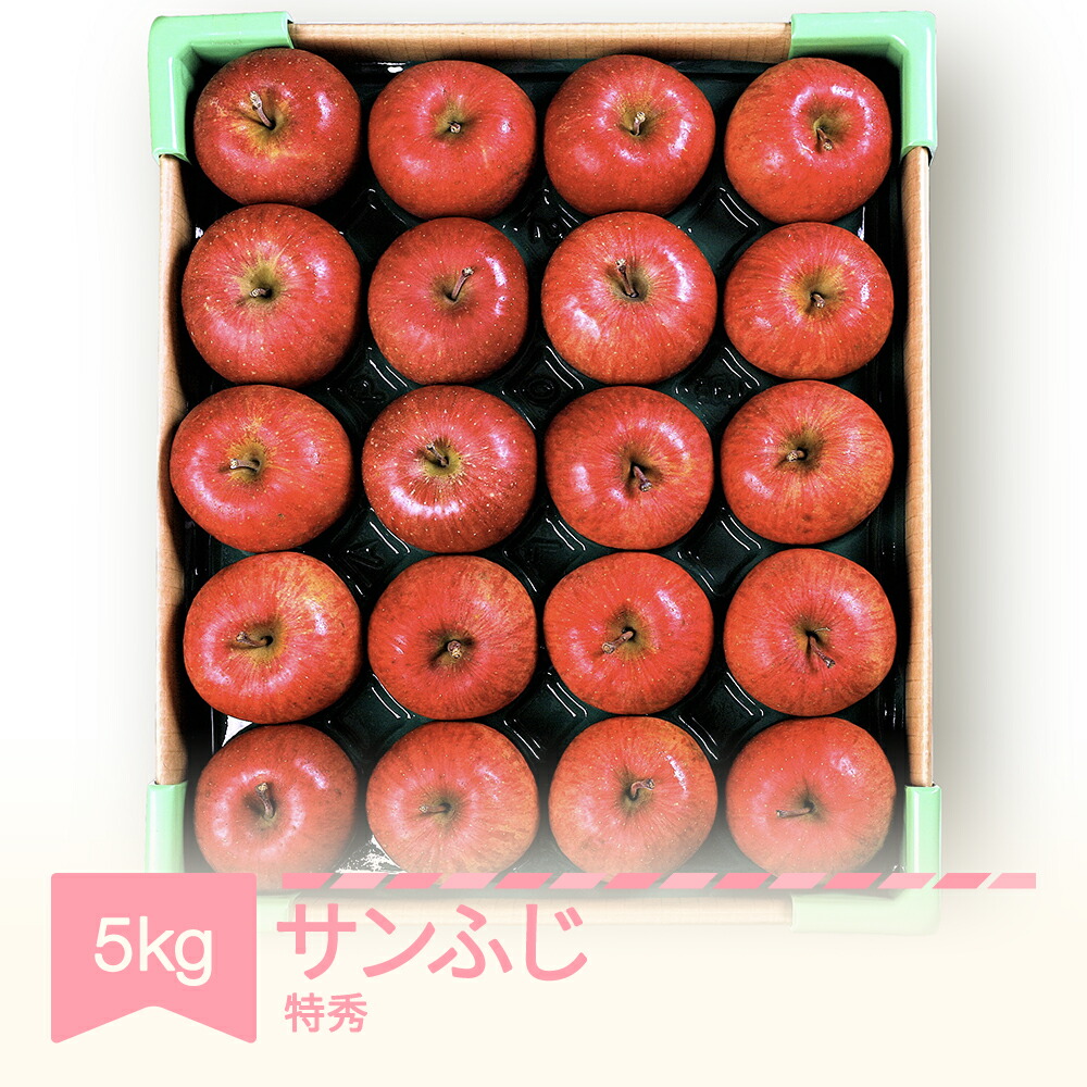 【ふるさと納税】先行予約 りんご サンふじ 約5kg 特秀品 リンゴ 林檎 令和7年産 2025年産 果物 フルーツ 山形県産 送料無料 mm-risft5<br>※沖縄・離島への配送不可
