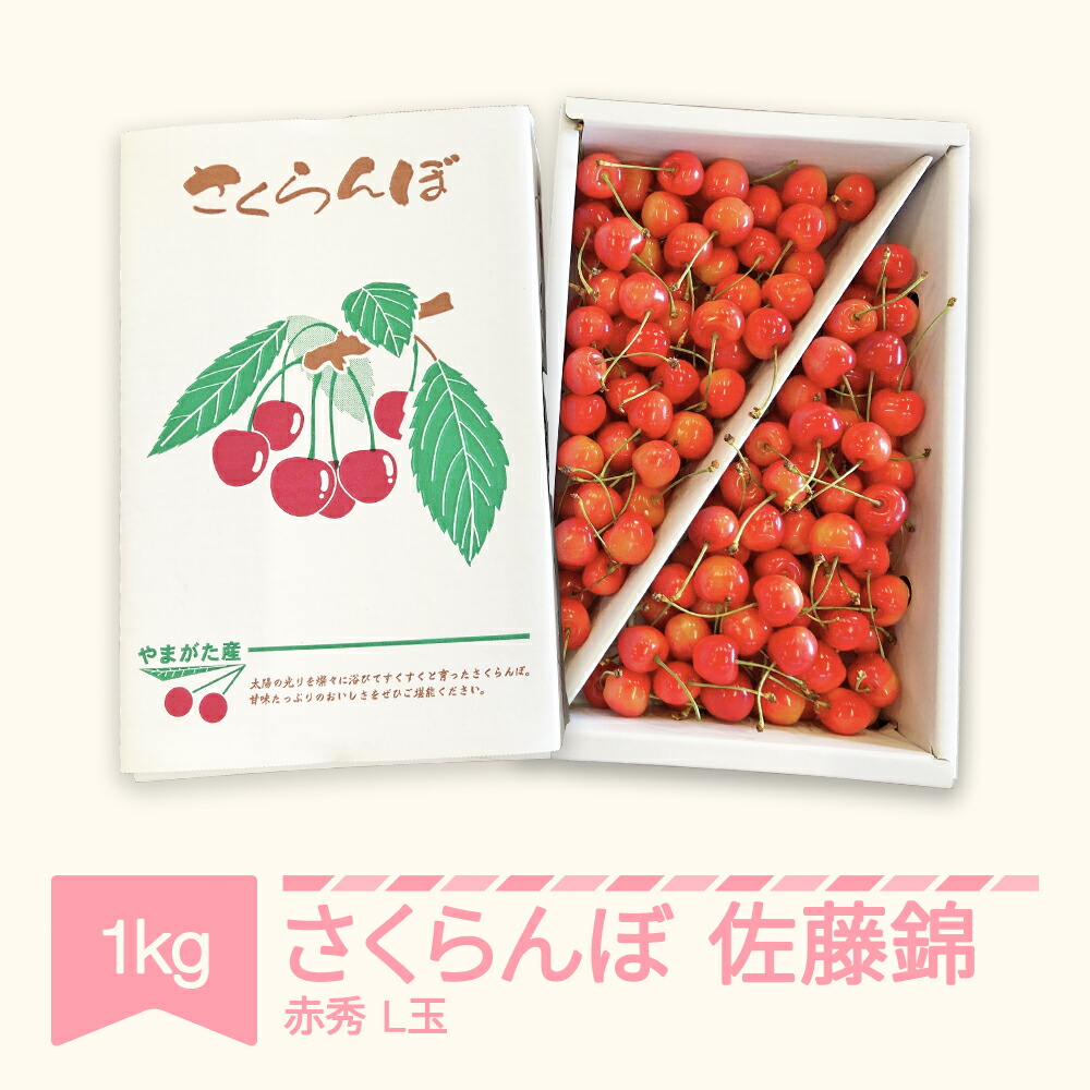 さとういらず 送料無料 約１ｋｇ（970ｇ） メール便 令和4年産 山形県産 通販
