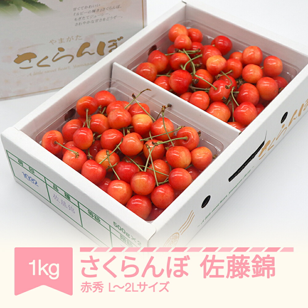 【ふるさと納税】  さくらんぼ 佐藤錦 赤秀 500g×2パック 1kg L-2L玉 バラ詰 ご家庭用 2025年産 令和7年産 山形県産 送料無料