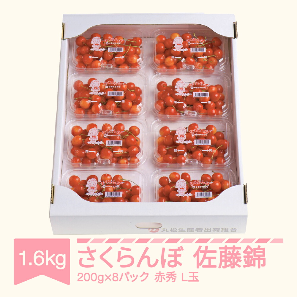 【ふるさと納税】【先行予約】さくらんぼ 佐藤錦  赤秀品 L玉 200g×8パック 2025年産 令和7年産 山形県産