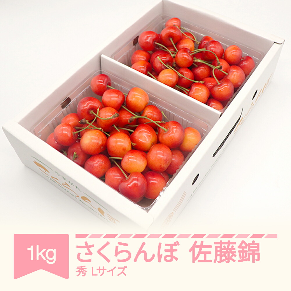 【ふるさと納税】【先行予約】 さくらんぼ 佐藤錦 秀品 500g×2パック 1kg L玉 バラ詰 2026年産 令和8年産 山形県産 送料無料