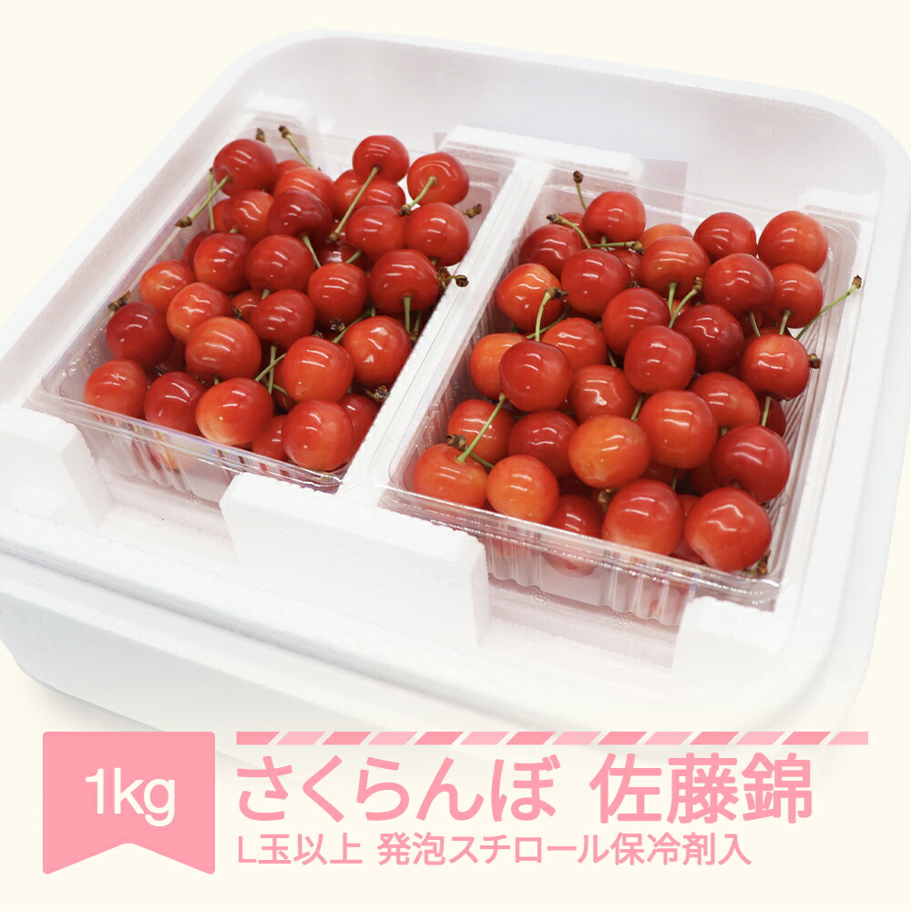 【ふるさと納税】【先行予約】 さくらんぼ 佐藤錦 2026年産 令和8年産 1kg詰 L玉以上 発泡スチロール梱包