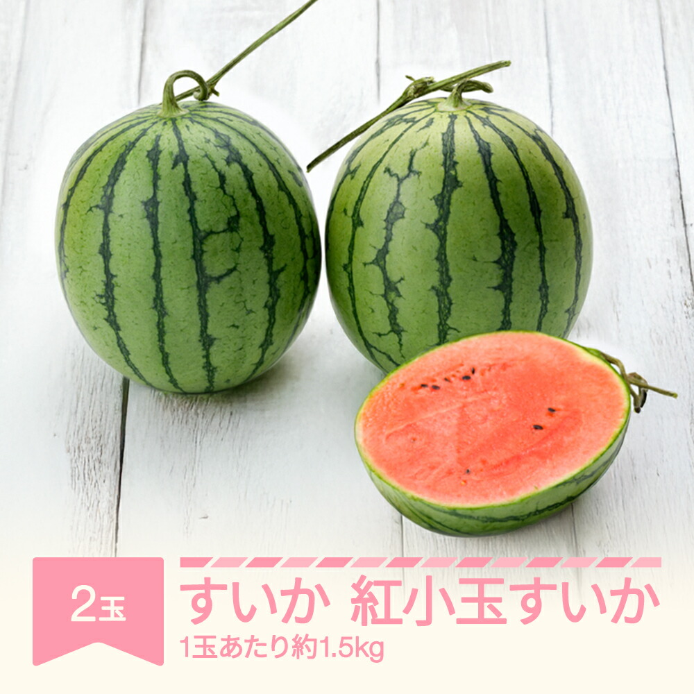 【ふるさと納税】すいか 紅小玉すいか 秀品  2玉 愛娘さくら ピノガール  令和7年産 2025年産 スイカ  果物 送料無料 ※沖縄・離島への配送不可  no-subkx2