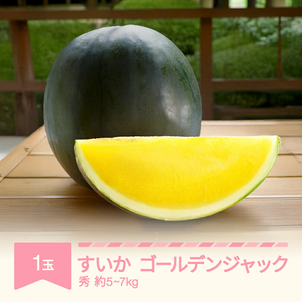 【ふるさと納税】先行予約 すいか ゴールデンジャック 1玉 5kg~7kg 2025年産 令和7年産 送料無料 ※沖縄・離島への配送不可 no-sugjx1