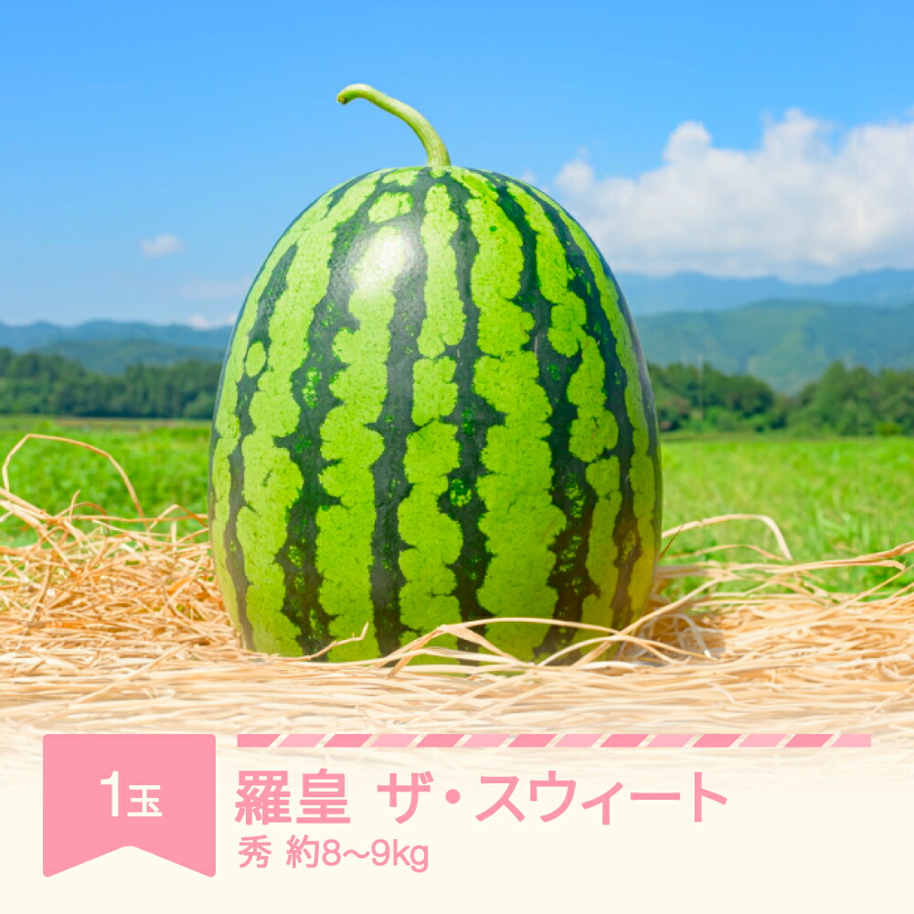 【ふるさと納税】先行予約 すいか 羅皇ザ・スウィート 1玉入り 約8～9kg 令和7年産 2025年産 果物 送料無料 <br>※沖縄・離島への配送不可