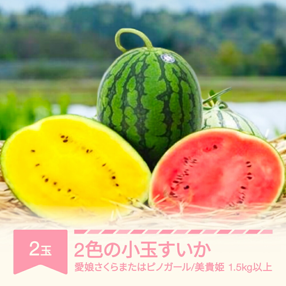 楽天市場】【ふるさと納税】北海道 小玉 スイカ 2種 セット 夏の 楽天市場】【ふるさと納税】北海道 小玉 スイカ 2種 セット 夏の